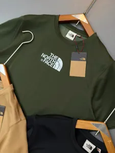 PTS02 Olive Color The Notrh Face Imported China Fabric Premium Tshirt gallery 2